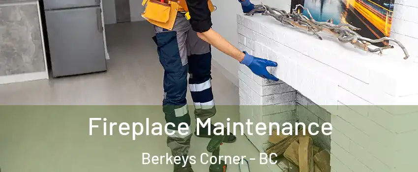  Fireplace Maintenance Berkeys Corner - BC