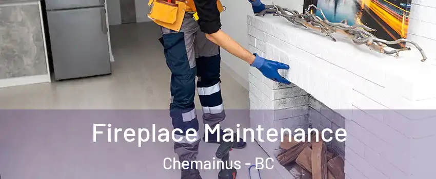  Fireplace Maintenance Chemainus - BC