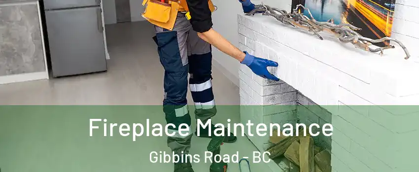  Fireplace Maintenance Gibbins Road - BC