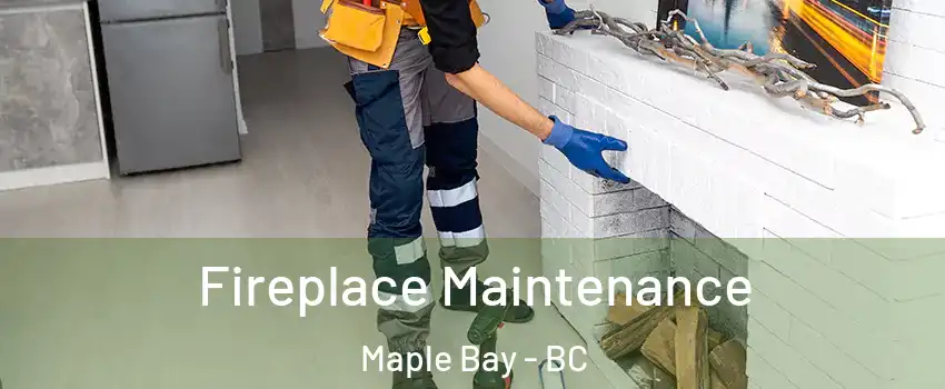  Fireplace Maintenance Maple Bay - BC