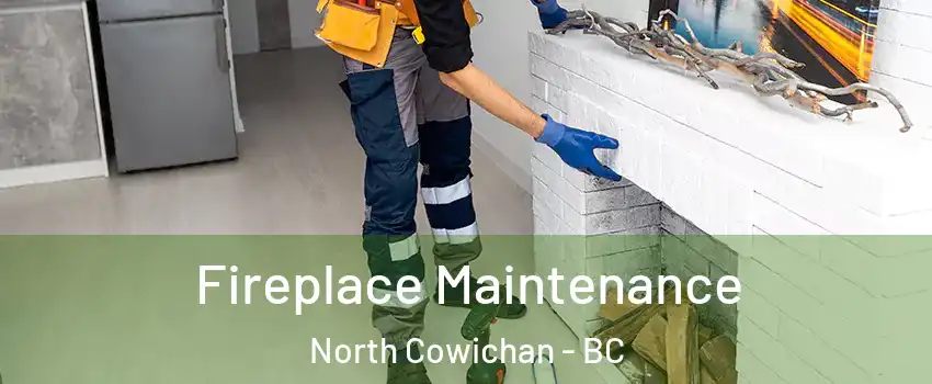  Fireplace Maintenance North Cowichan - BC