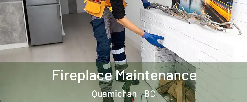  Fireplace Maintenance Quamichan - BC