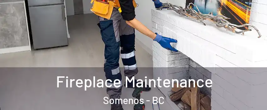  Fireplace Maintenance Somenos - BC