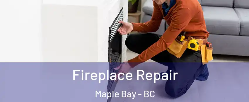  Fireplace Repair Maple Bay - BC