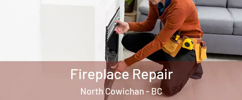  Fireplace Repair North Cowichan - BC