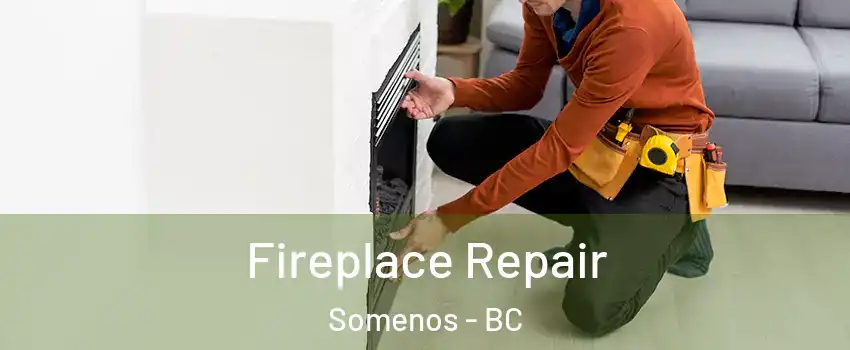  Fireplace Repair Somenos - BC