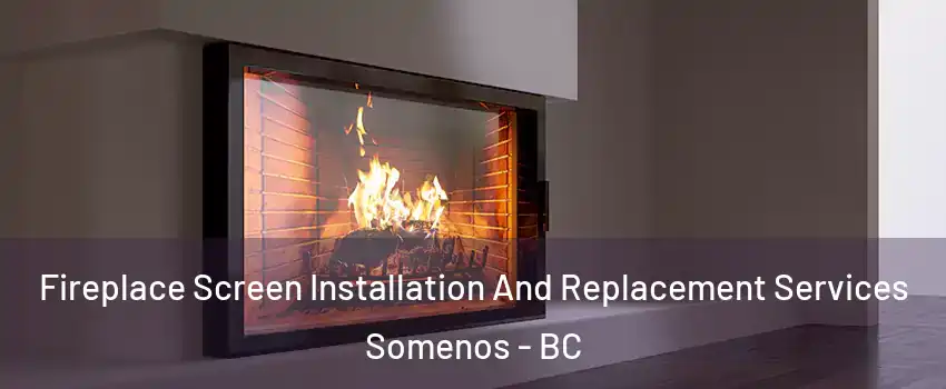  Fireplace Screen Installation And Replacement Services Somenos - BC