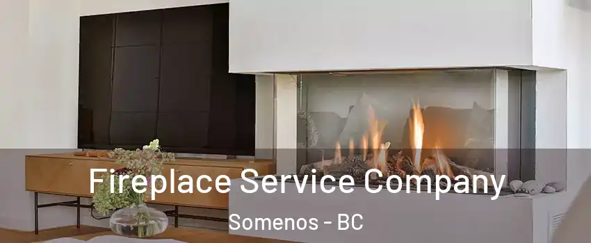  Fireplace Service Company Somenos - BC