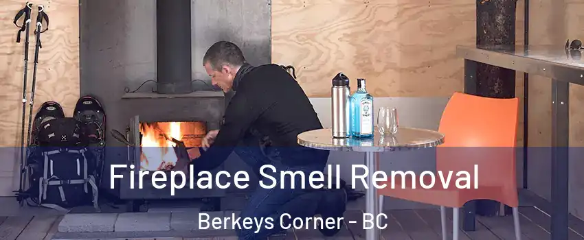  Fireplace Smell Removal Berkeys Corner - BC