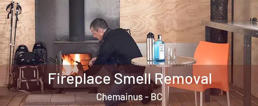  Fireplace Smell Removal Chemainus - BC