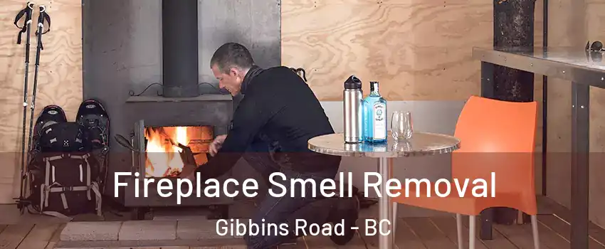  Fireplace Smell Removal Gibbins Road - BC
