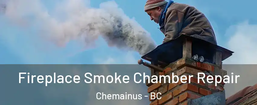  Fireplace Smoke Chamber Repair Chemainus - BC