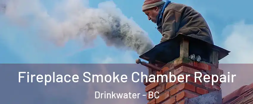  Fireplace Smoke Chamber Repair Drinkwater - BC