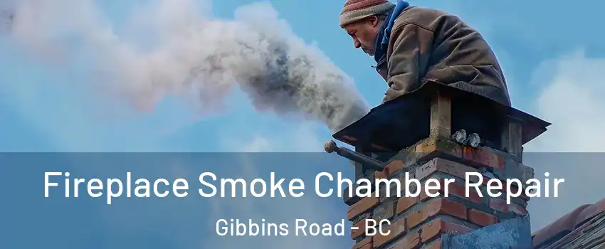  Fireplace Smoke Chamber Repair Gibbins Road - BC
