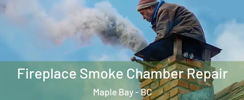  Fireplace Smoke Chamber Repair Maple Bay - BC