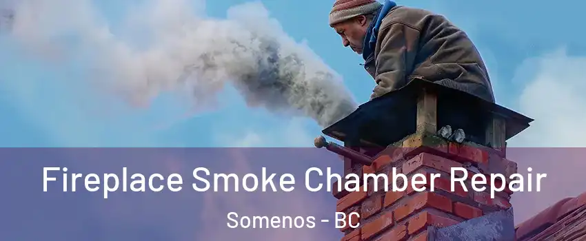 Fireplace Smoke Chamber Repair Somenos - BC