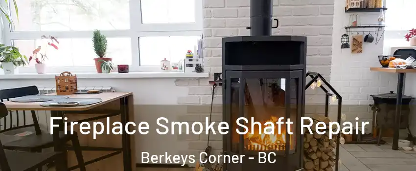  Fireplace Smoke Shaft Repair Berkeys Corner - BC