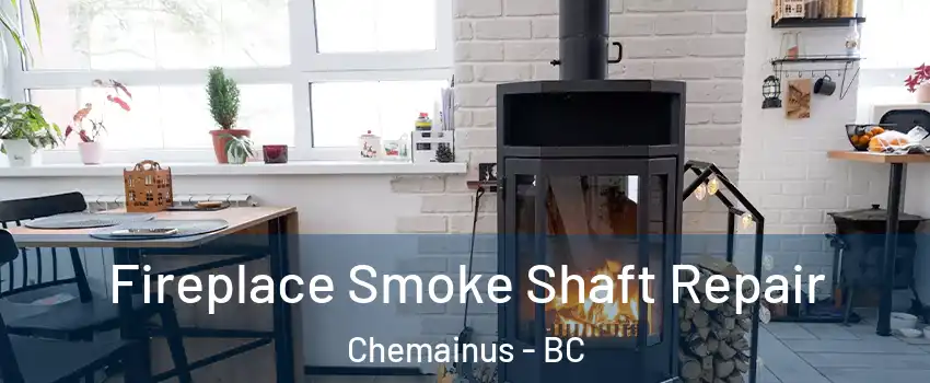  Fireplace Smoke Shaft Repair Chemainus - BC