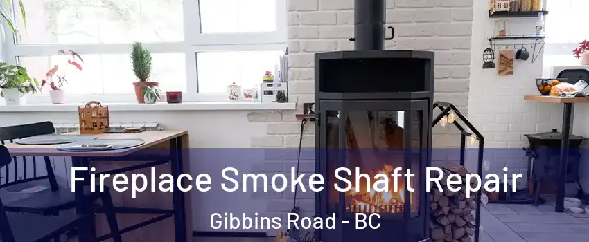 Fireplace Smoke Shaft Repair Gibbins Road - BC