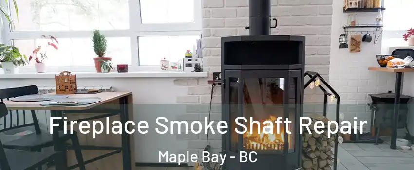  Fireplace Smoke Shaft Repair Maple Bay - BC