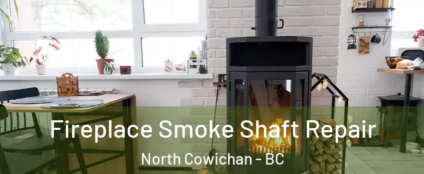  Fireplace Smoke Shaft Repair North Cowichan - BC