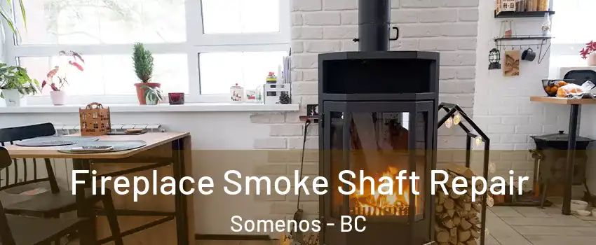  Fireplace Smoke Shaft Repair Somenos - BC