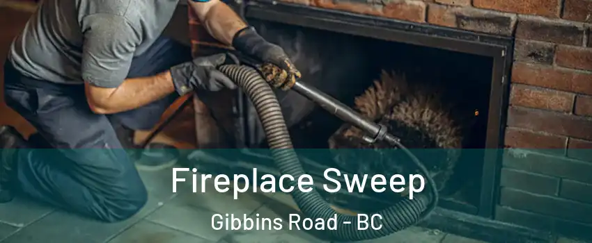 Fireplace Sweep Gibbins Road - BC
