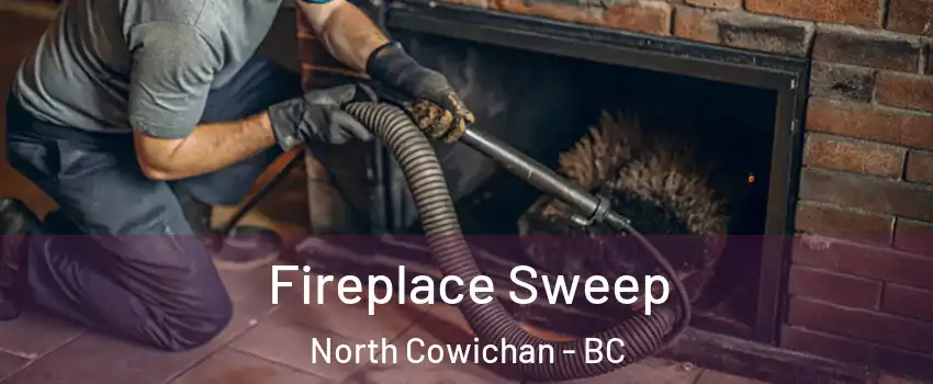  Fireplace Sweep North Cowichan - BC