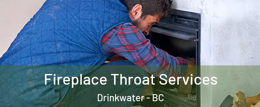  Fireplace Throat Services Drinkwater - BC