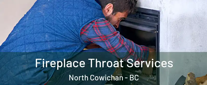  Fireplace Throat Services North Cowichan - BC