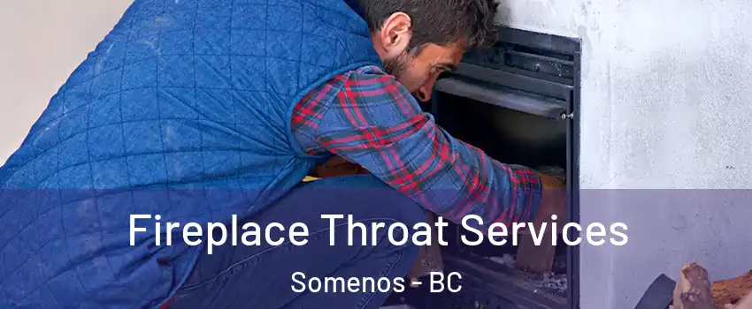  Fireplace Throat Services Somenos - BC