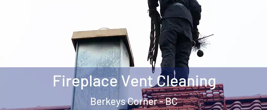  Fireplace Vent Cleaning Berkeys Corner - BC