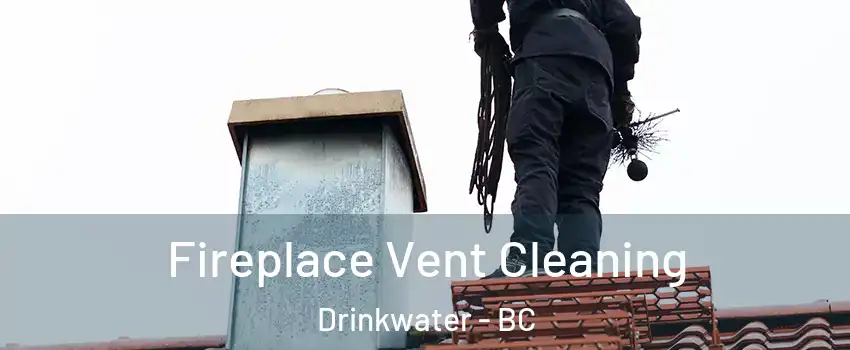  Fireplace Vent Cleaning Drinkwater - BC
