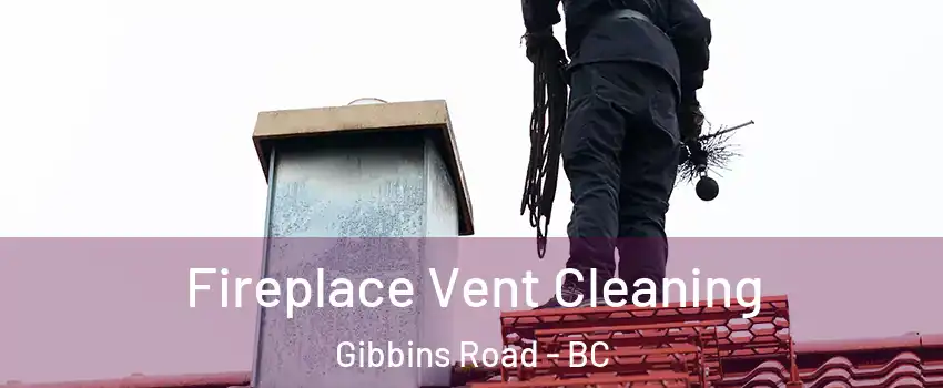  Fireplace Vent Cleaning Gibbins Road - BC