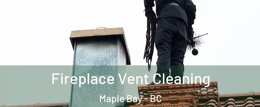  Fireplace Vent Cleaning Maple Bay - BC