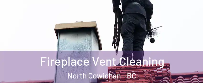  Fireplace Vent Cleaning North Cowichan - BC