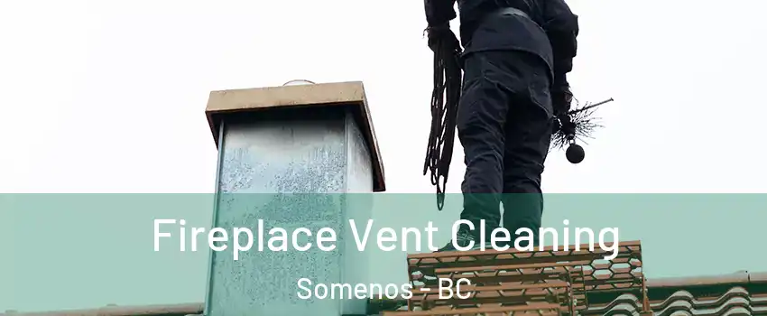  Fireplace Vent Cleaning Somenos - BC