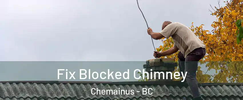  Fix Blocked Chimney Chemainus - BC