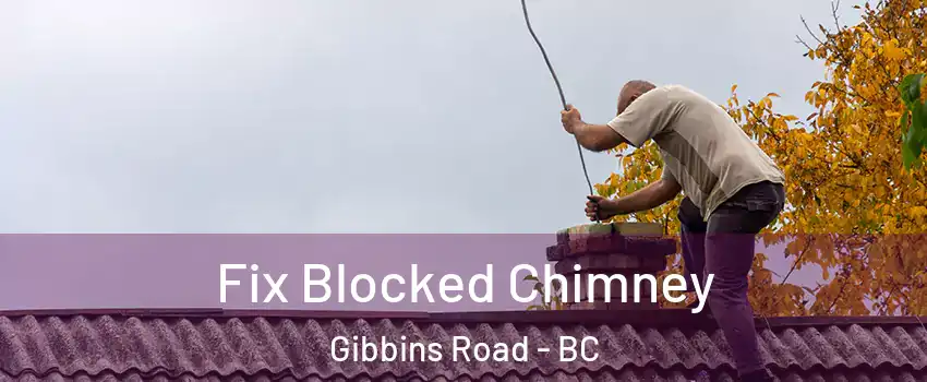  Fix Blocked Chimney Gibbins Road - BC