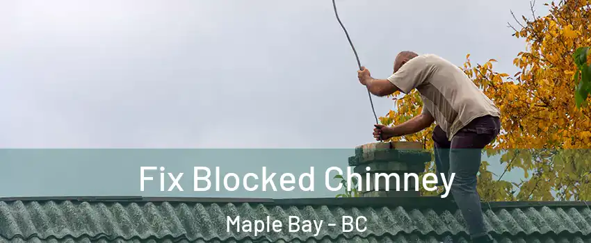  Fix Blocked Chimney Maple Bay - BC