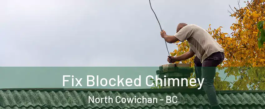  Fix Blocked Chimney North Cowichan - BC