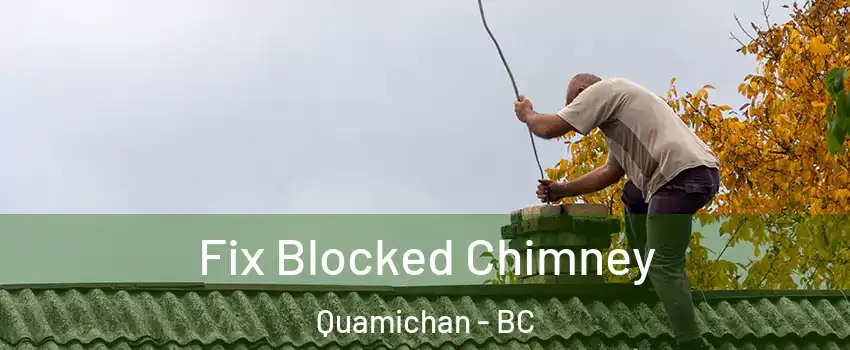  Fix Blocked Chimney Quamichan - BC