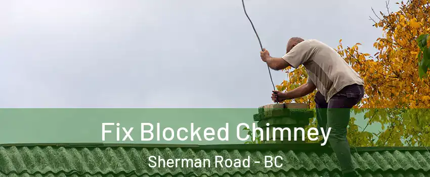  Fix Blocked Chimney Sherman Road - BC