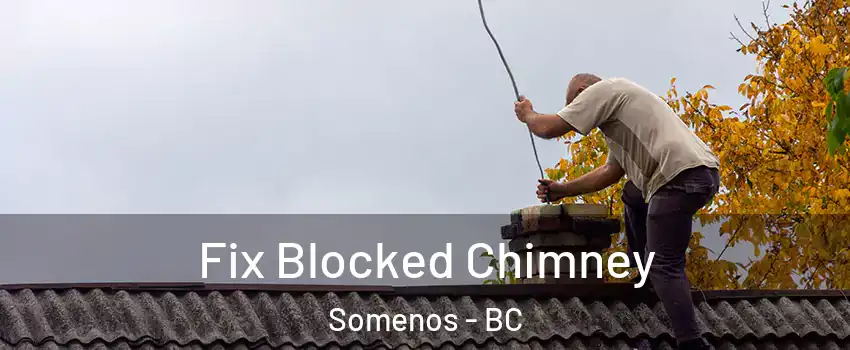  Fix Blocked Chimney Somenos - BC