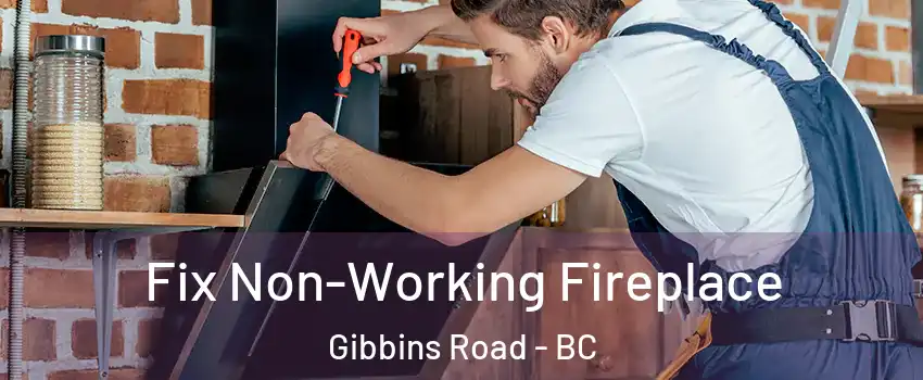  Fix Non-Working Fireplace Gibbins Road - BC