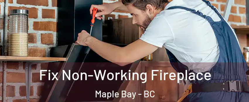  Fix Non-Working Fireplace Maple Bay - BC