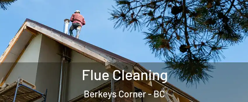  Flue Cleaning Berkeys Corner - BC