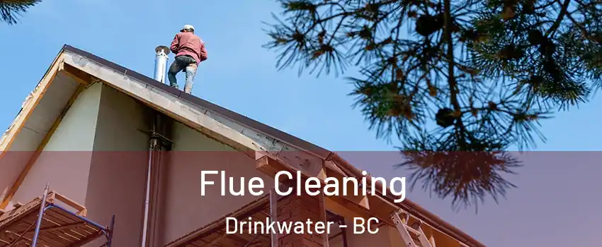  Flue Cleaning Drinkwater - BC