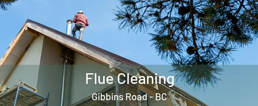  Flue Cleaning Gibbins Road - BC