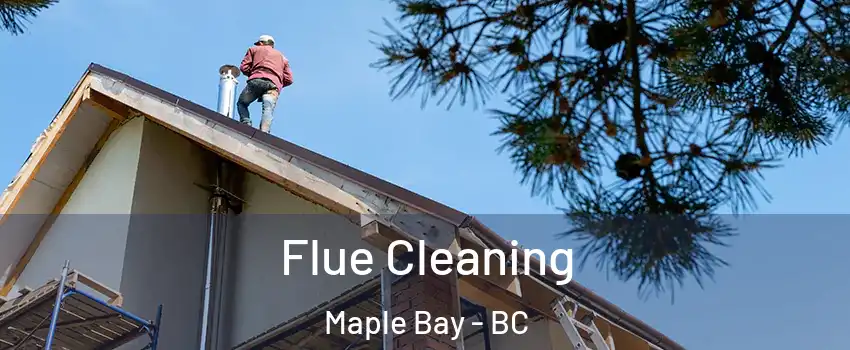  Flue Cleaning Maple Bay - BC